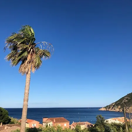 Ramatuelle Saint Tropez, En Front De Mer Exterior photo