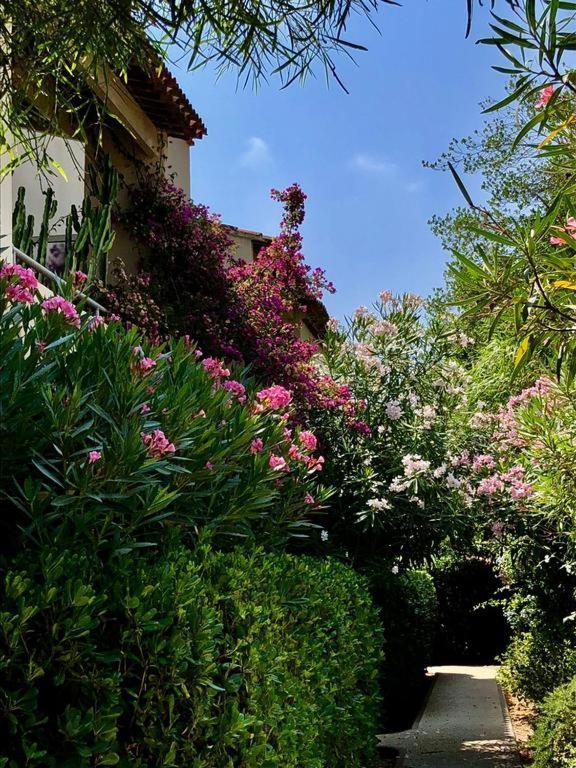 Saint Tropez, En Front De